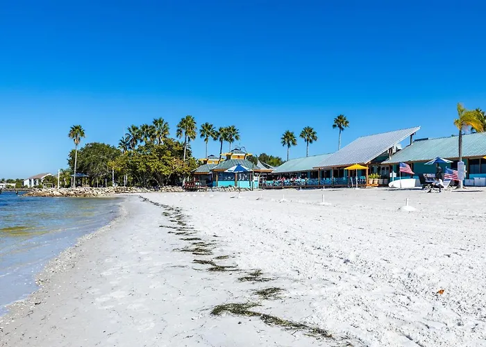 Come Stay Where The Dolphins Play!