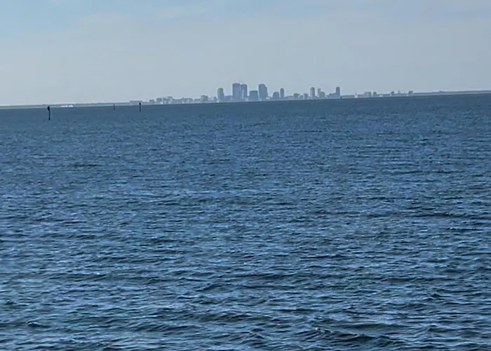 Come Stay Where The Dolphins Play!